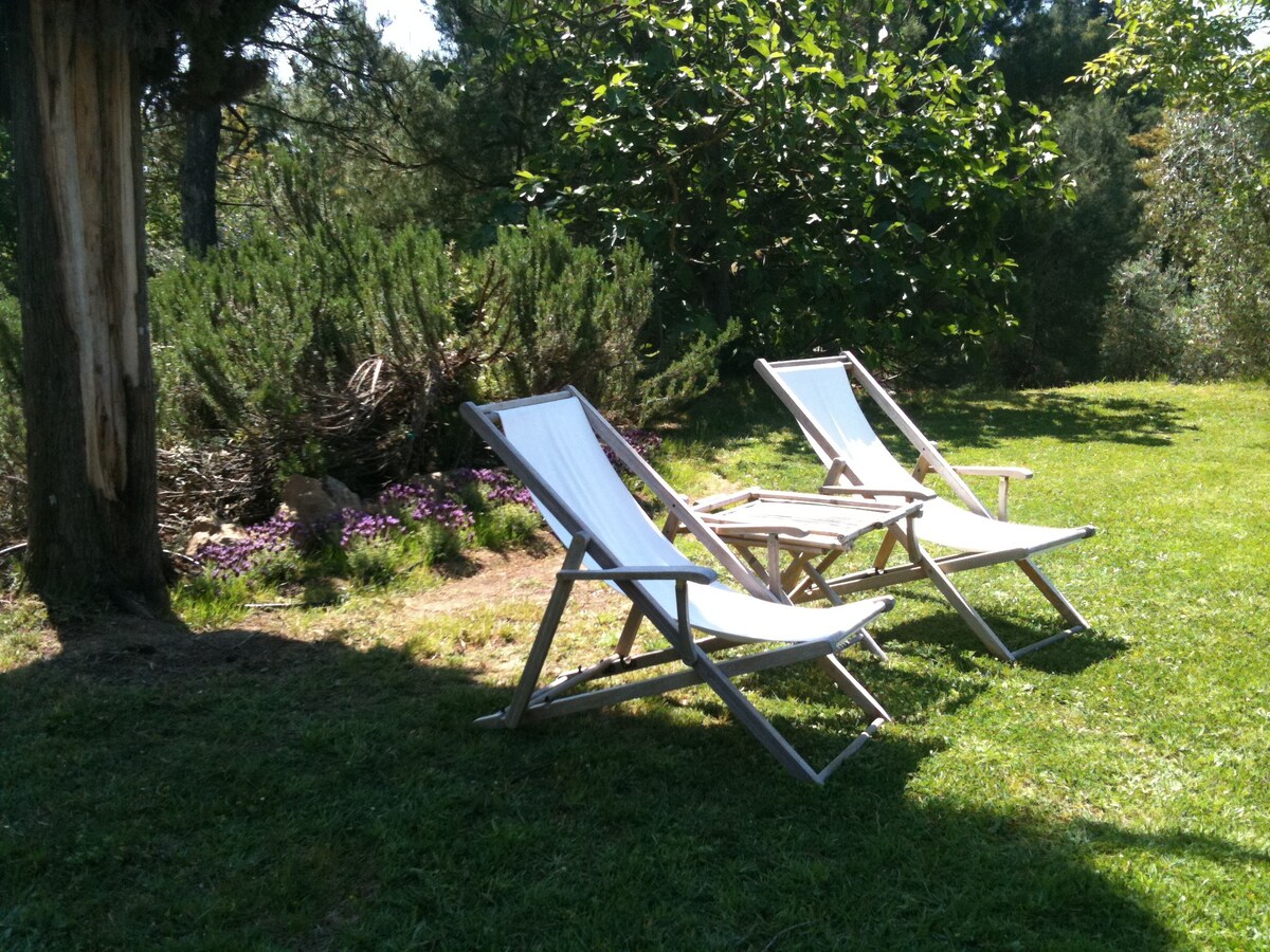 Cozy garden loungers