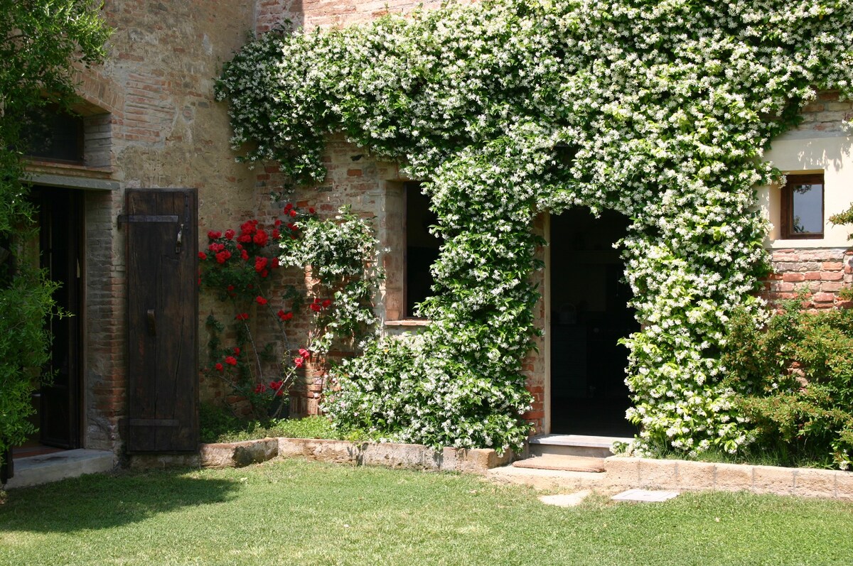 Outdoor walls covered with typical climbing plants