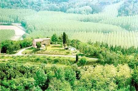 Villa surrounded by nature